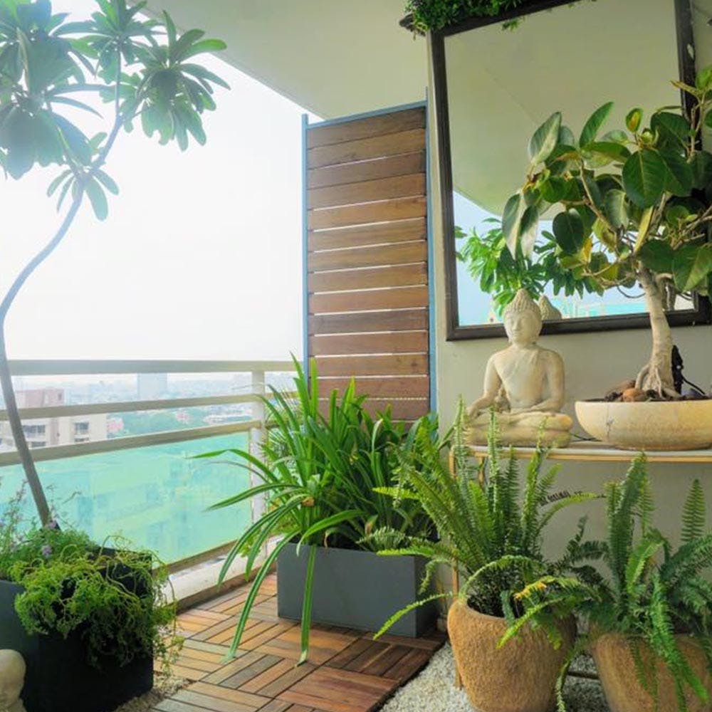 Houseplant,Flowerpot,Property,Plant,Botany,Interior design,Room,Tree,Real estate,House