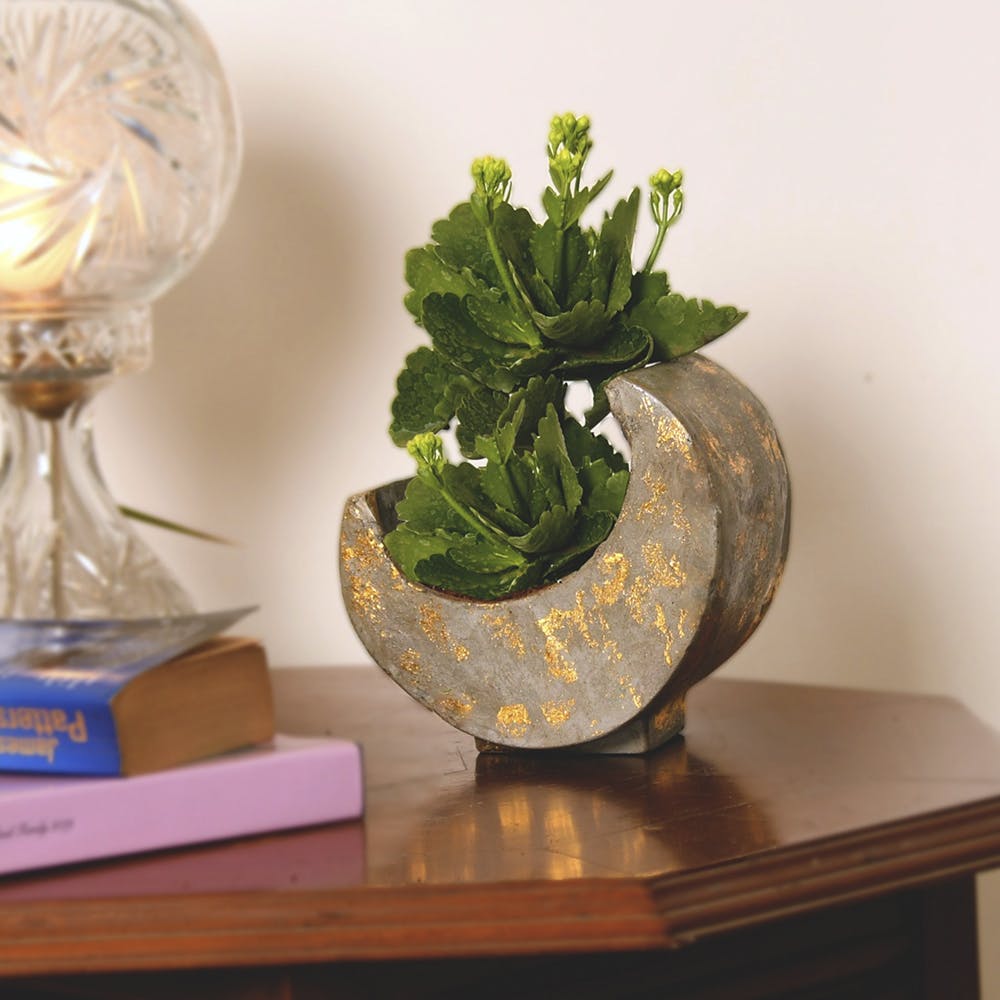 Flowerpot,Houseplant,Shelf,Plant,Vase,Table,Flower,Glass,Ikebana,Ceramic