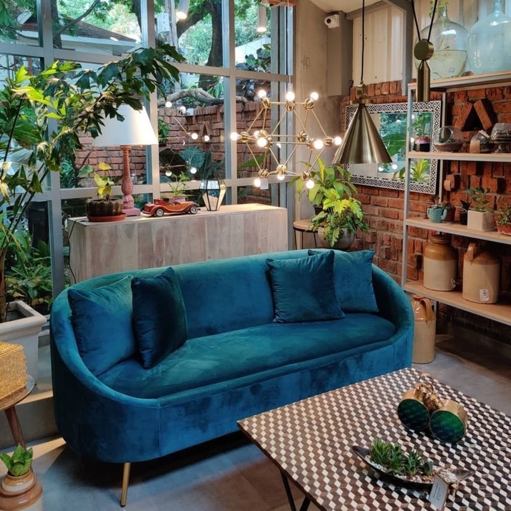 Green,Turquoise,Furniture,Room,Couch,Living room,Houseplant,Interior design,Plant,Patio