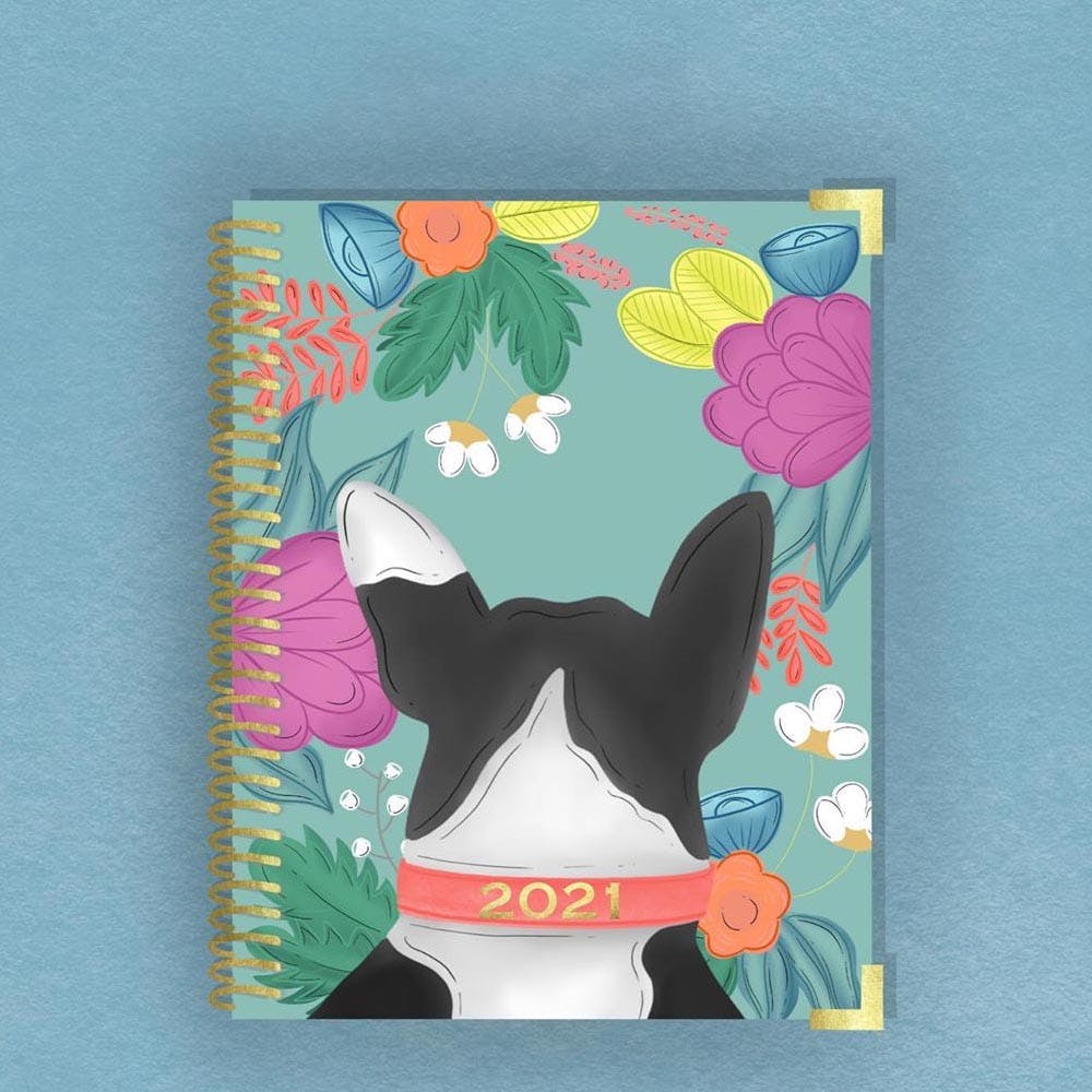 French bulldog,Boston terrier,Notebook,Canidae,Illustration,Paper product,Paper,Non-Sporting Group,Moustache