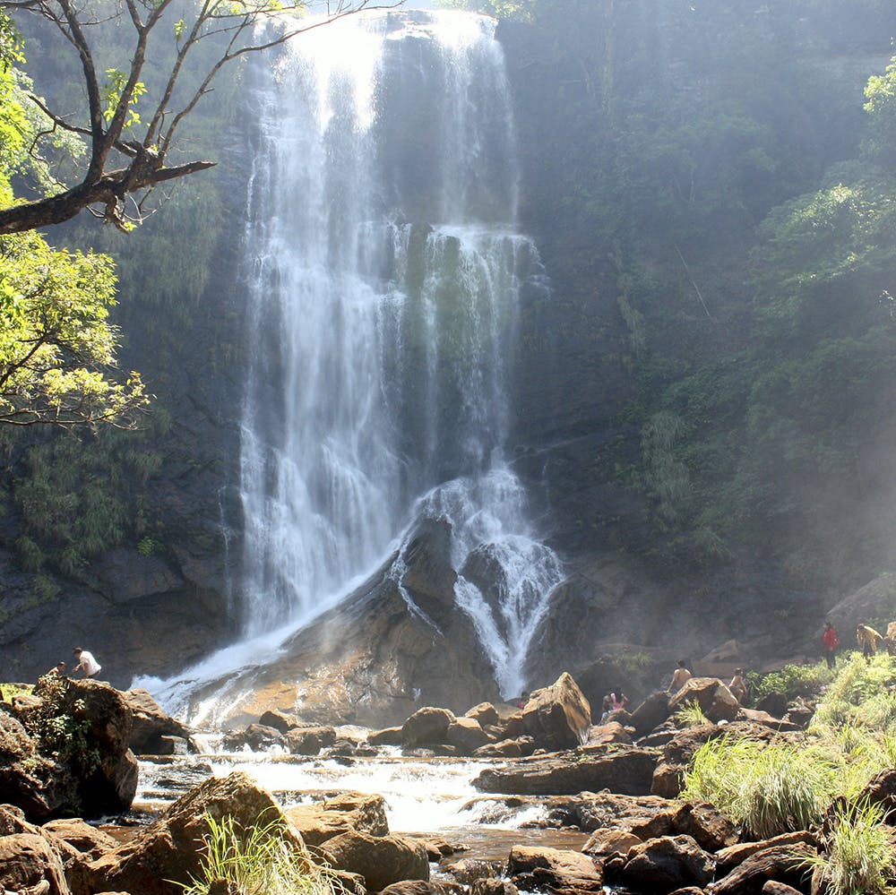 Waterfall,Water resources,Body of water,Natural landscape,Nature,Water,Nature reserve,Watercourse,Vegetation,Chute