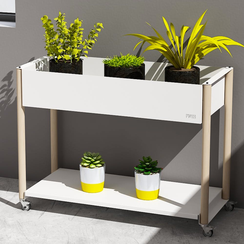 Flowerpot,Houseplant,Furniture,Shelf,Table,Yellow,Plant,Sideboard,Rectangle,Room