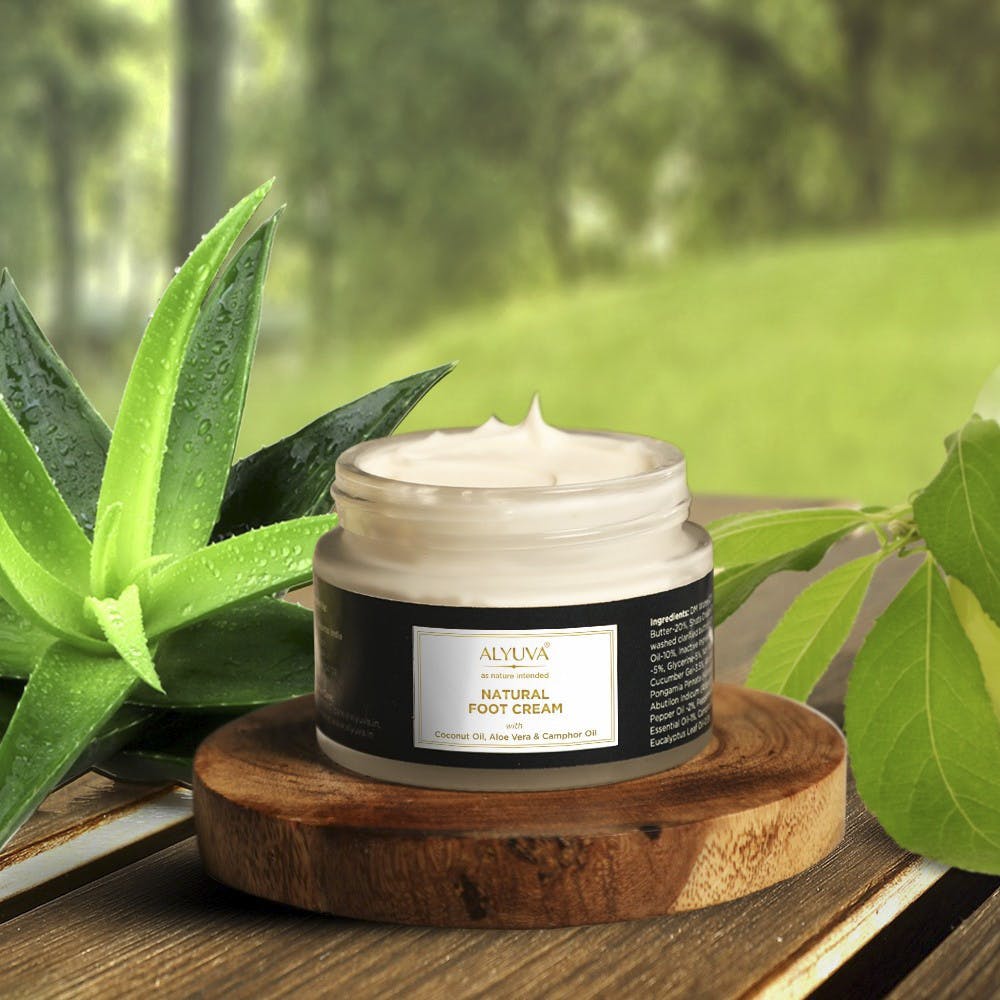 Product,Skin care,Leaf,Cream,Plant,Cream,Herbal,Herb,Flower