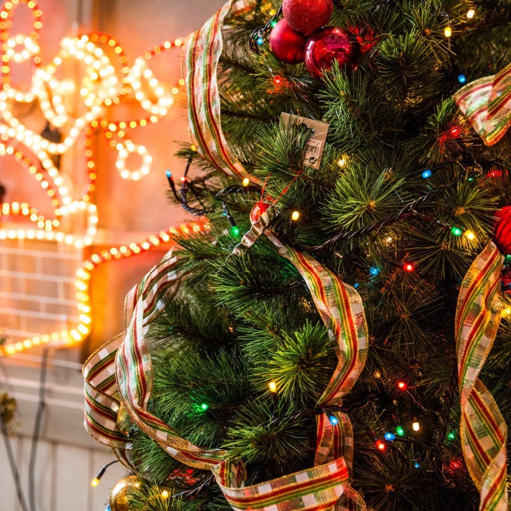 Christmas ornament,Christmas tree,Christmas,Christmas decoration,Tree,Spruce,Christmas eve,Fir,Ornament,Branch