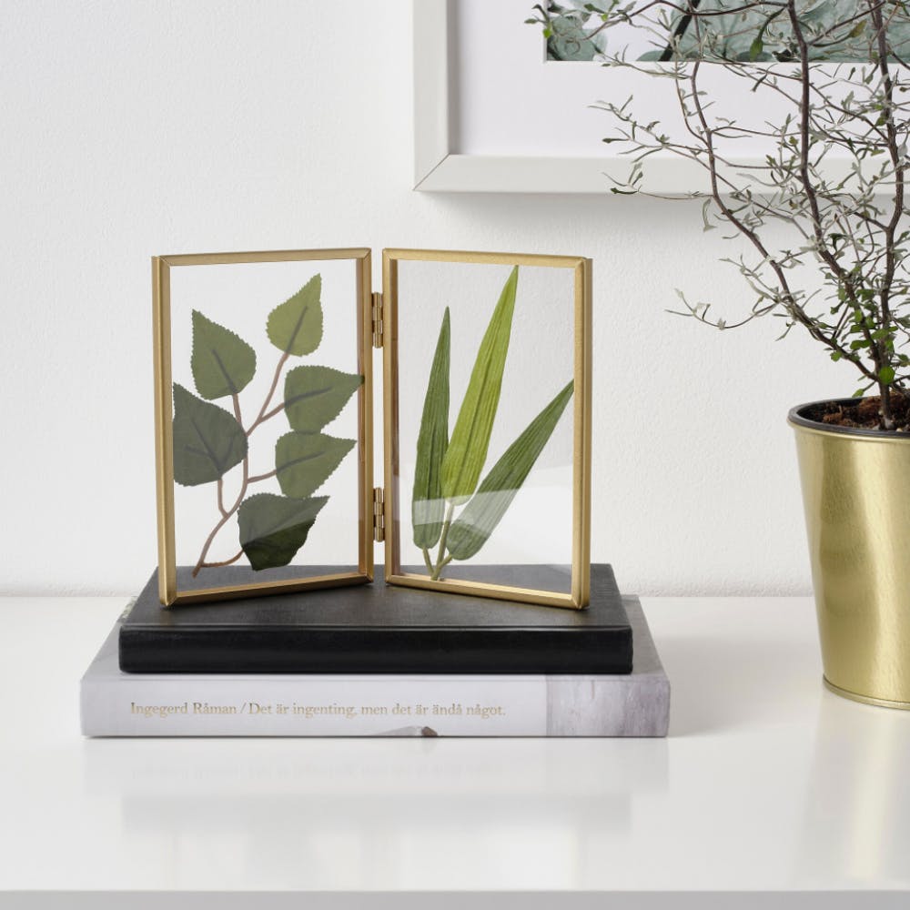 Ikebana,Flowerpot,Houseplant,Botany,Plant,Vase,Room,Flower,Art,Interior design