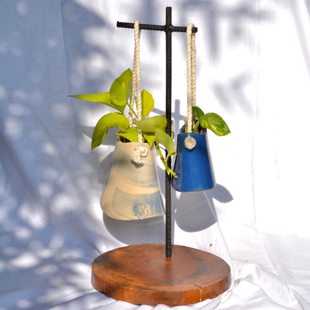 Plant,Rain gauge,Laboratory equipment,Table,Glass,Metal