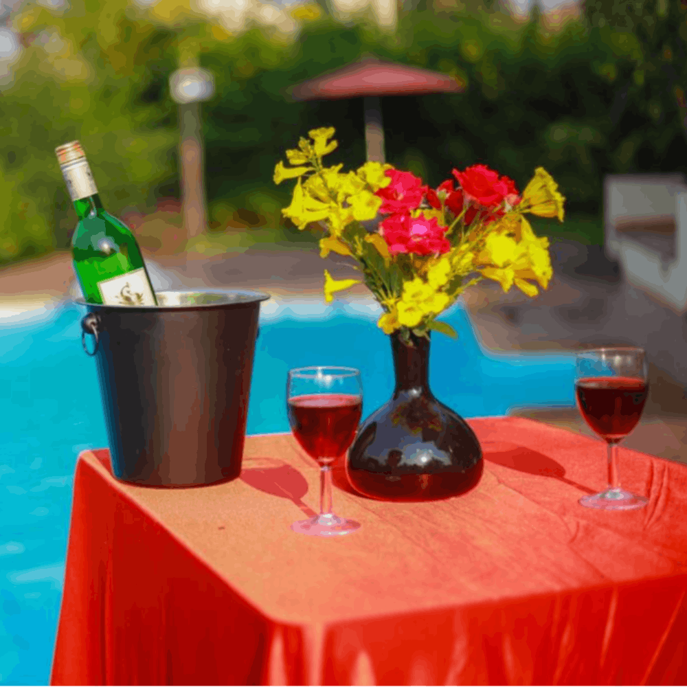 Drink,Bottle,Table,Still life,Glass,Wine bottle,Plant,Champagne stemware,Liqueur,Wine glass