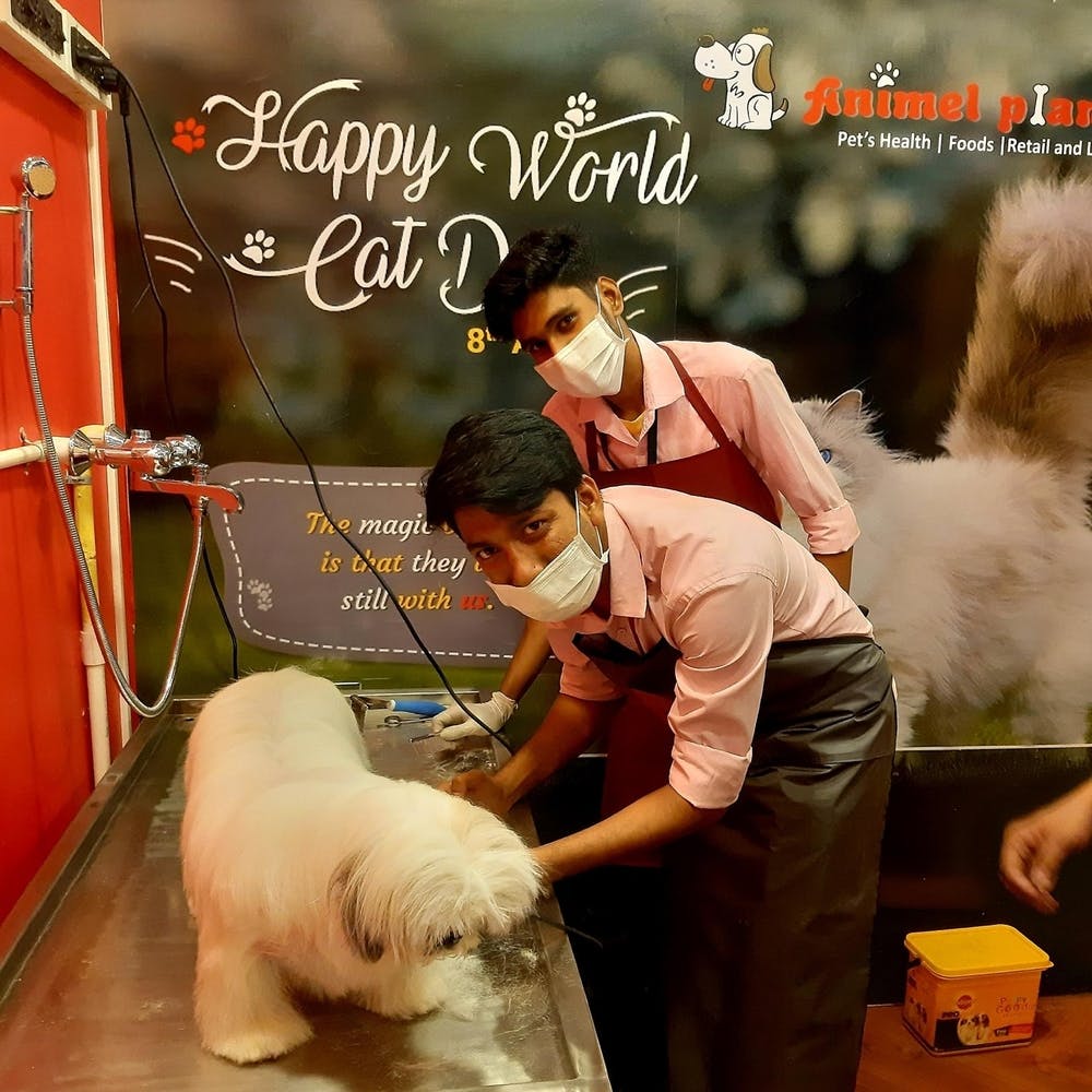 Best Pet Shops In The City I LBB, Kolkata