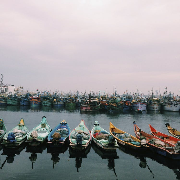 Royapuram Fishing Harbour Wikipedia 42 OFF royapuram-fishing-harbour-wikipedia-42-off