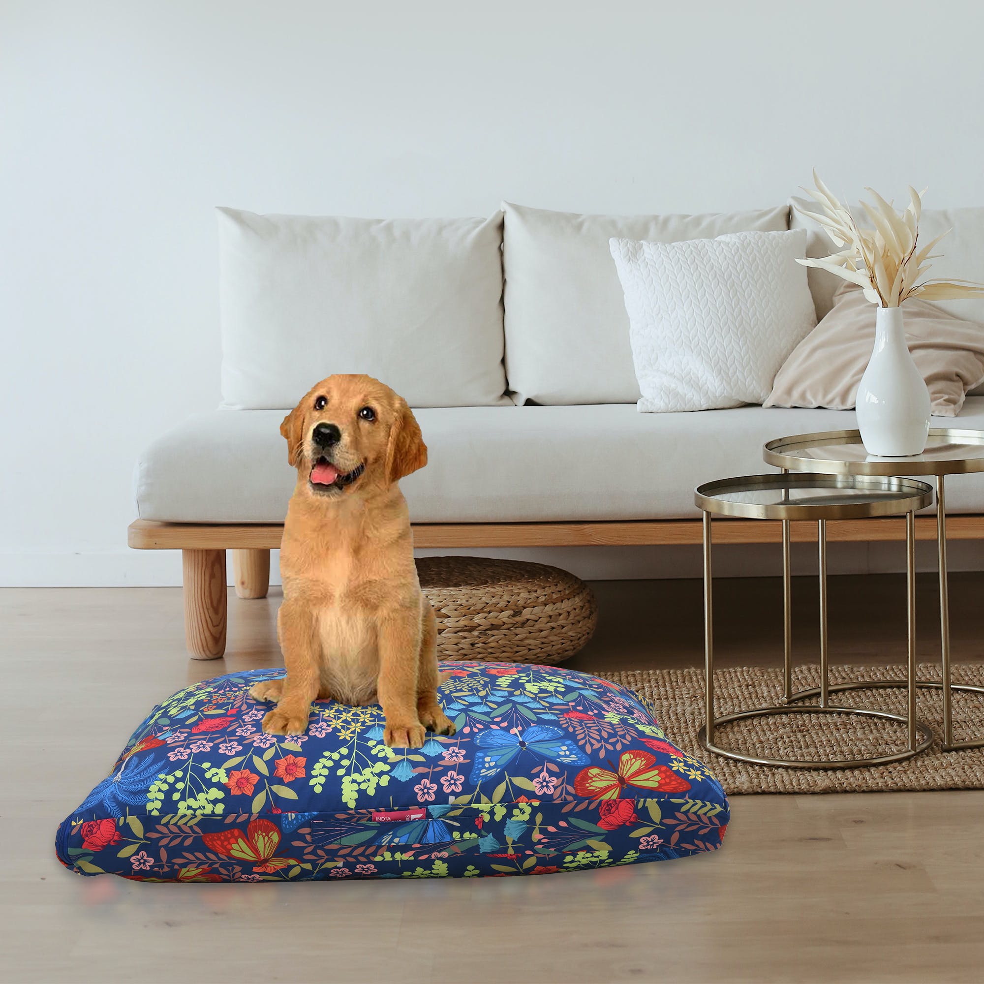 Dog breed,Carnivore,Dog,Room,Furniture,Couch,Interior design,Floor,Flooring,Dog supply