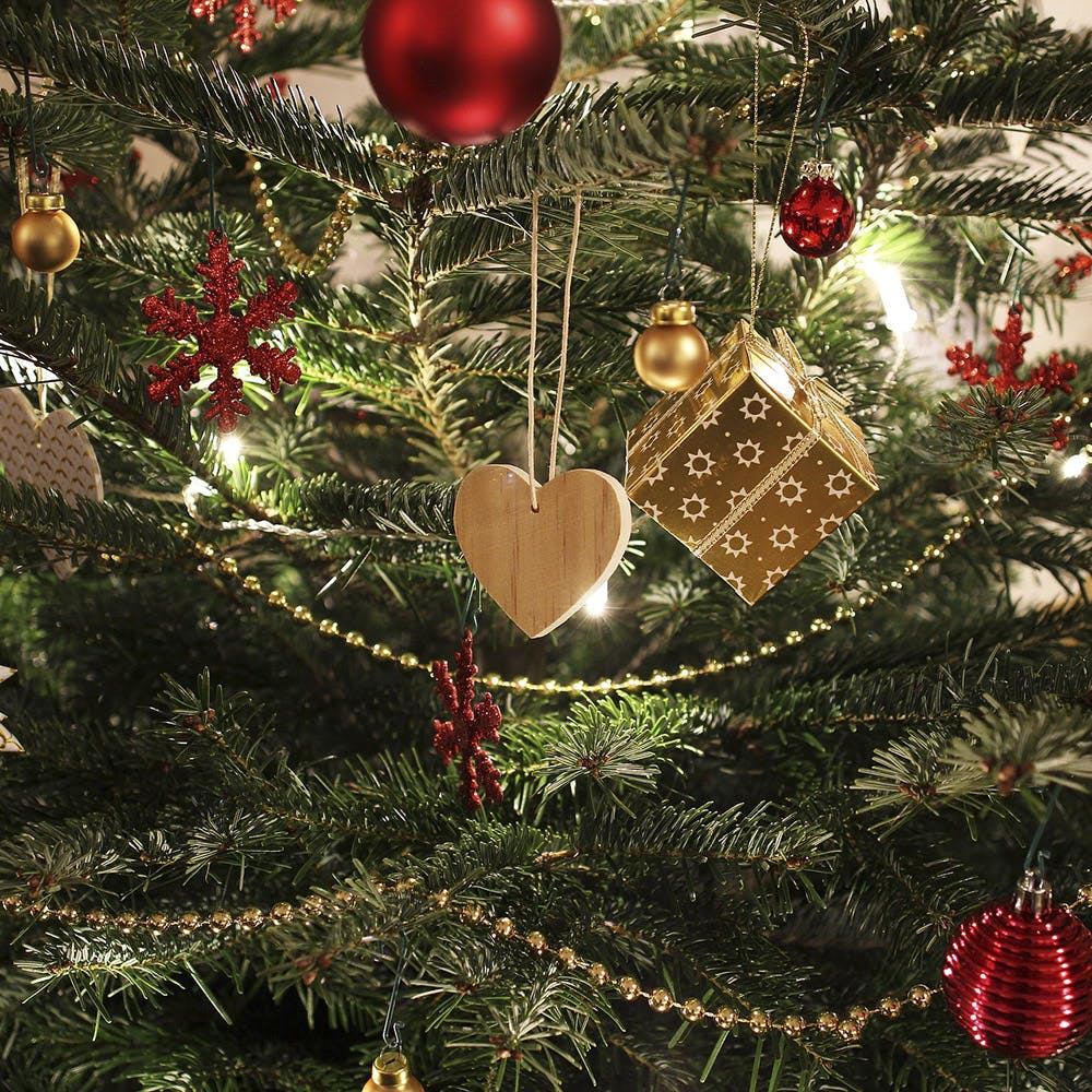 Christmas decoration,Event,Christmas ornament,Red,Holiday ornament,Holiday,Woody plant,Christmas,Christmas tree,Ornament