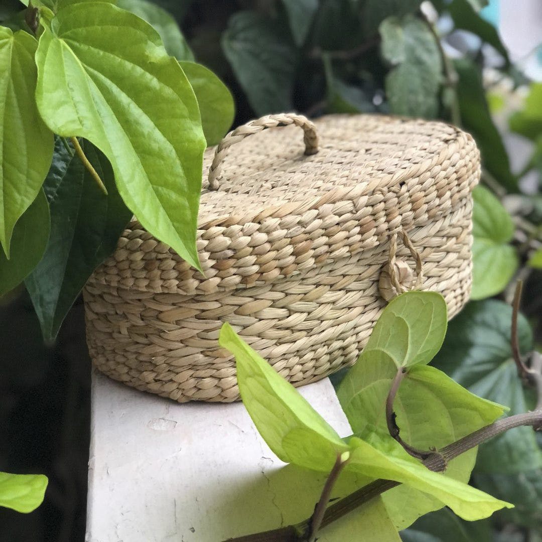Leaf,Basket,Wicker,Twig,Storage basket,Natural material,Plant stem