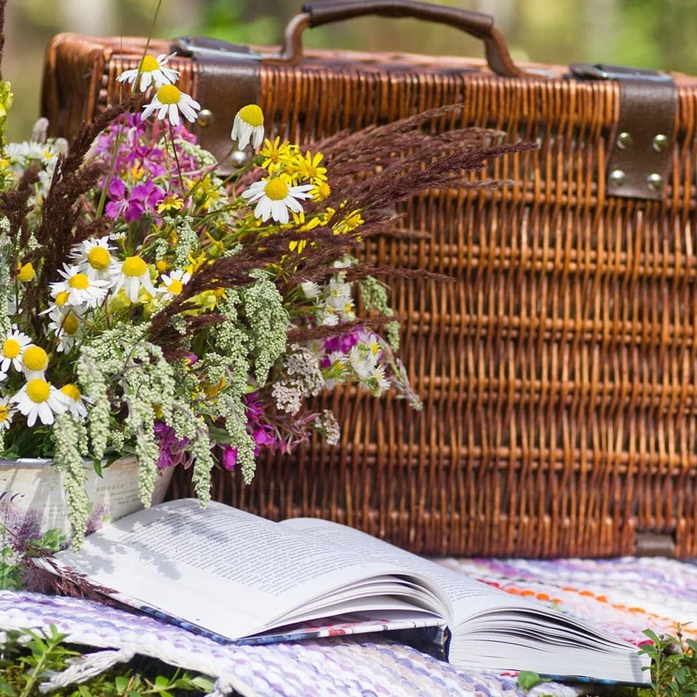 Flower,Petal,Purple,Basket,Wicker,Storage basket,Picnic basket,Lavender,Floristry,Flower Arranging