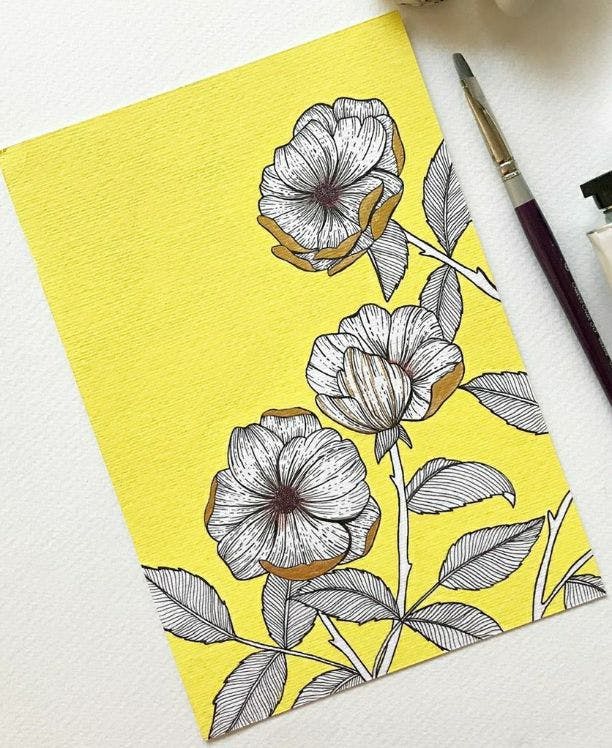 3 Instagram accounts to follow for learning the art of drawing florals!