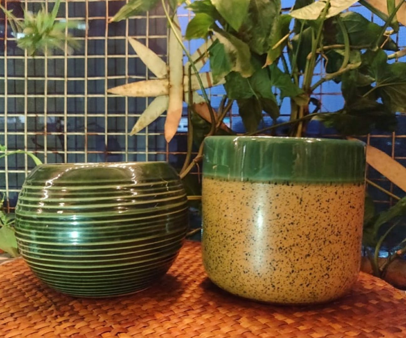 Flowerpot,Houseplant,Plant,Bowl,Tableware,Herb