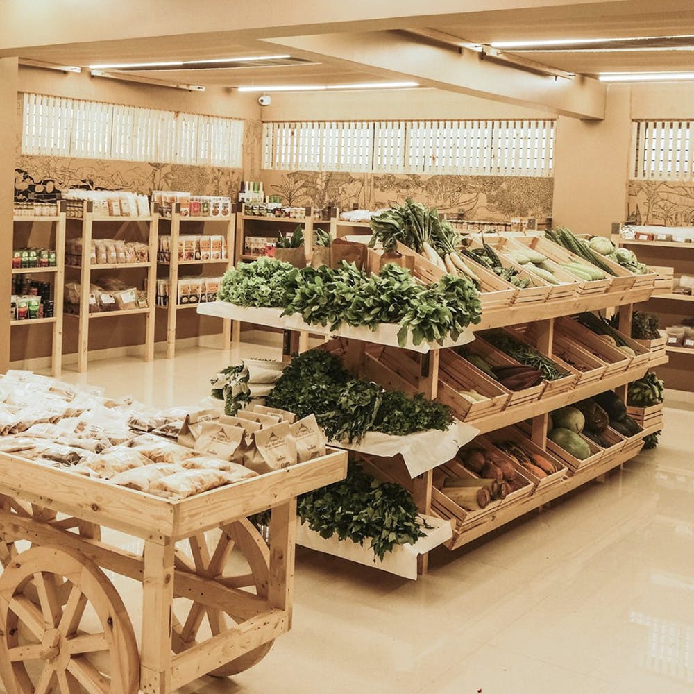 Shelf,Plant,Building,Wood,Shelving,Interior design,Table,Floor,Natural foods,Retail