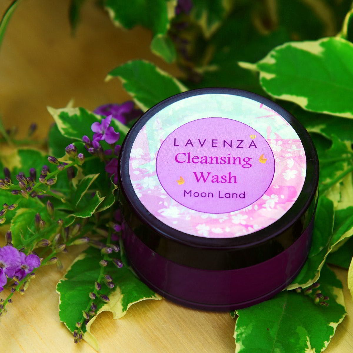 Purple,Violet,Leaf,Lavender,Pink,Magenta,Petal,Annual plant,Circle,Cosmetics