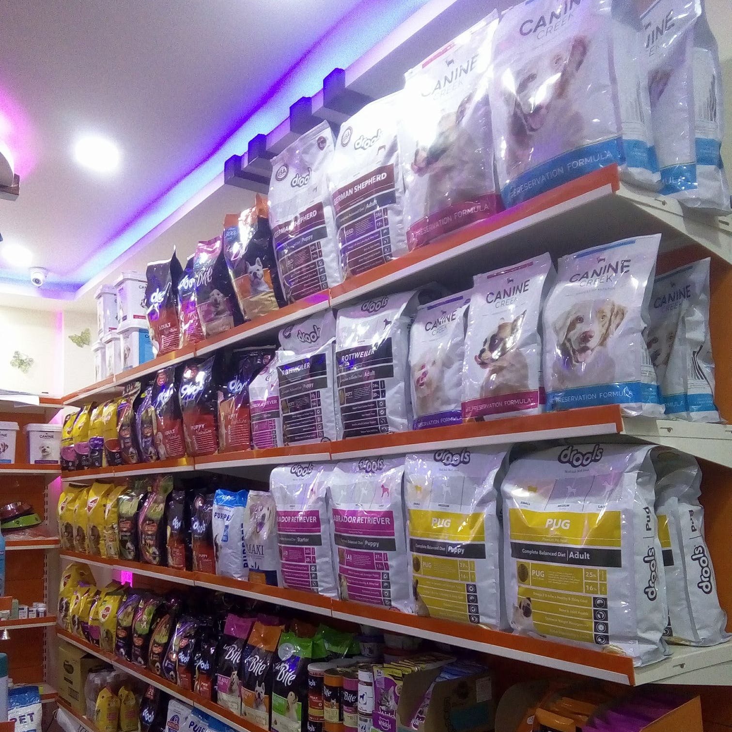 Best Pet Stores In Hyderabad LBB Hyderabad