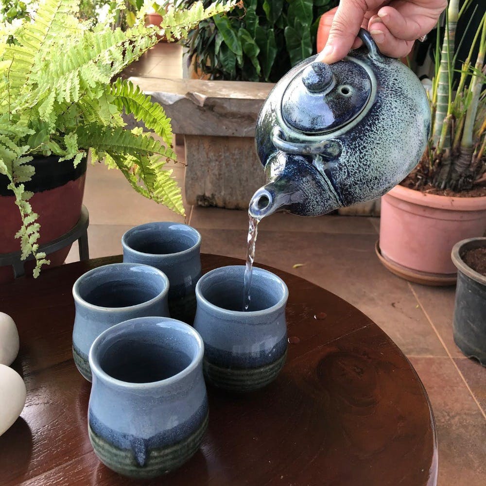 Blue,Flowerpot,earthenware,Majorelle blue,Pottery,Terrestrial plant,Ceramic,Garden,Houseplant,Serveware