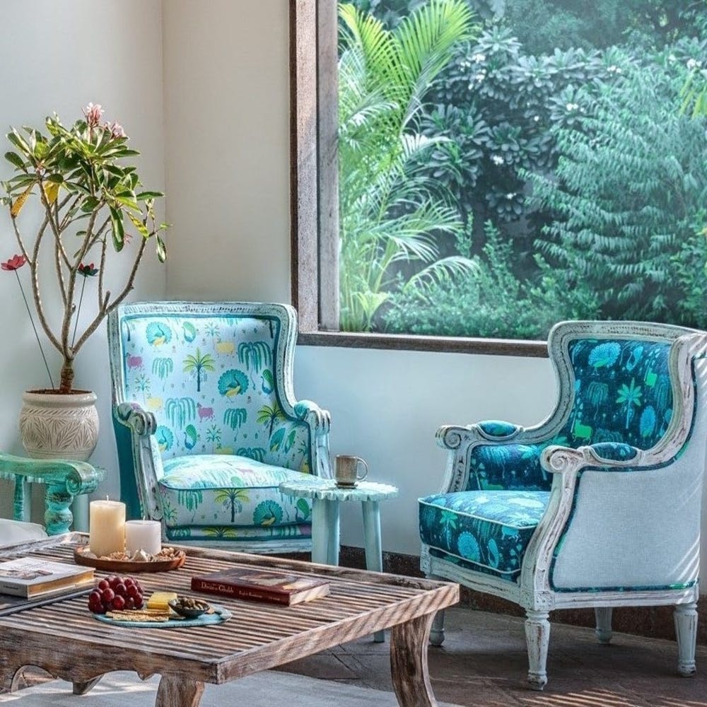 Plant,Furniture,Property,Table,Green,Window,Azure,Blue,Flowerpot,Interior design