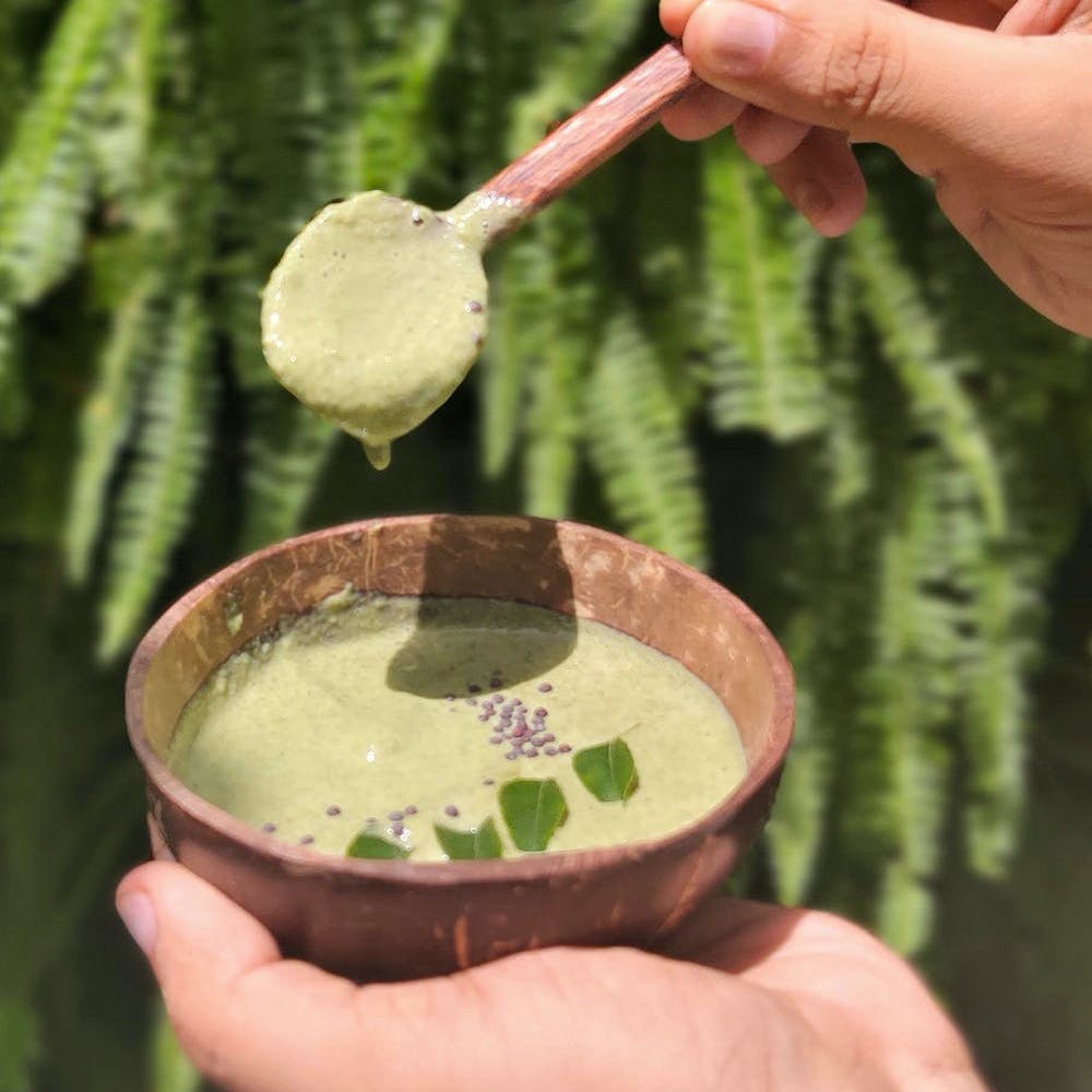 Hand,Botany,Gesture,Finger,Plant,Grass,Terrestrial plant,Drink,Matcha,Thumb