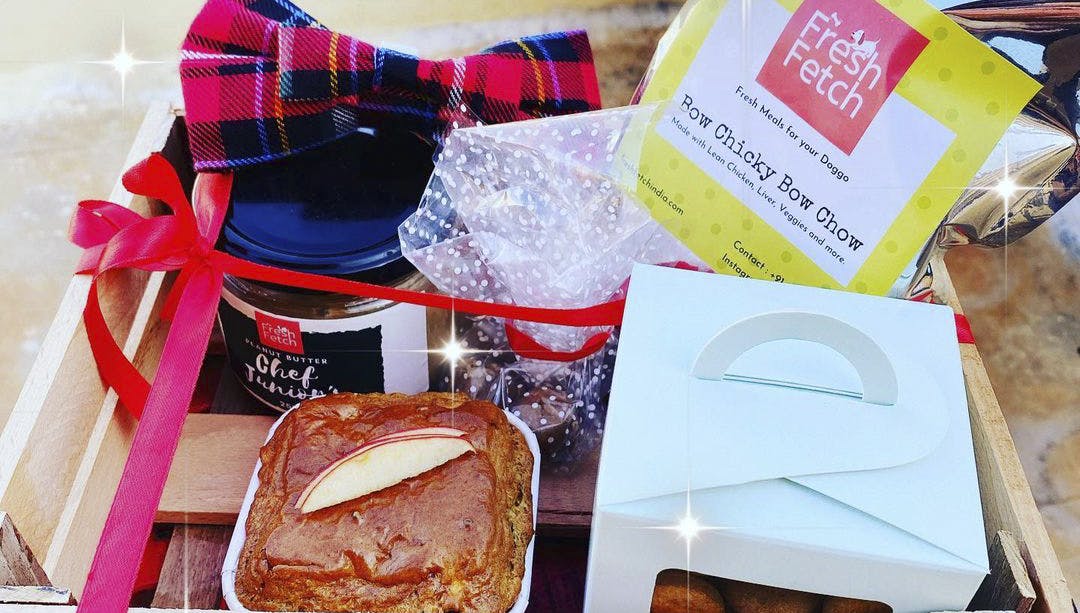 Fresh Meals For Dogs On A Subscription, Fresh Fetch LBB