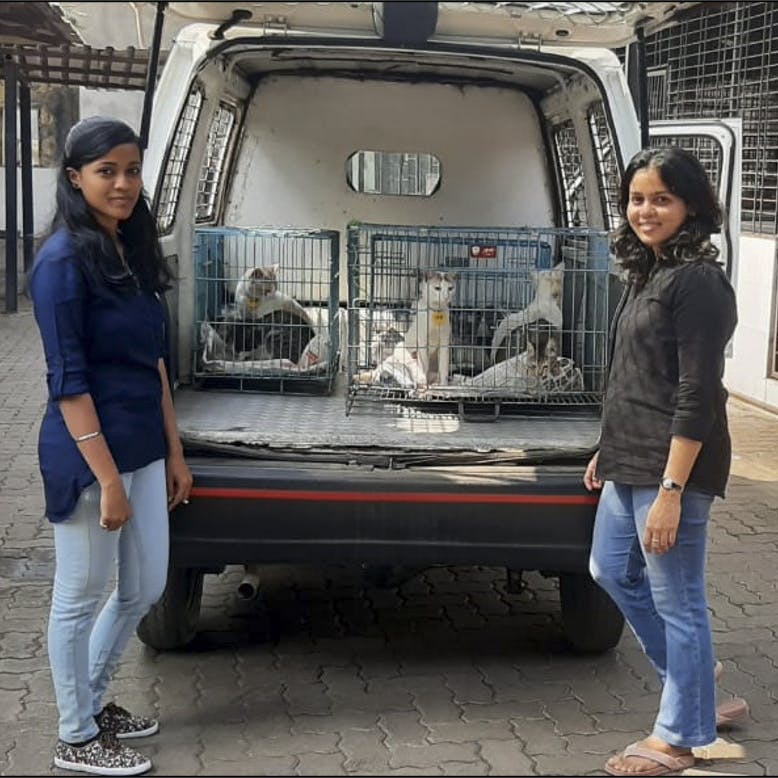 In Defence Of Animals, Navi Mumbai | LBB