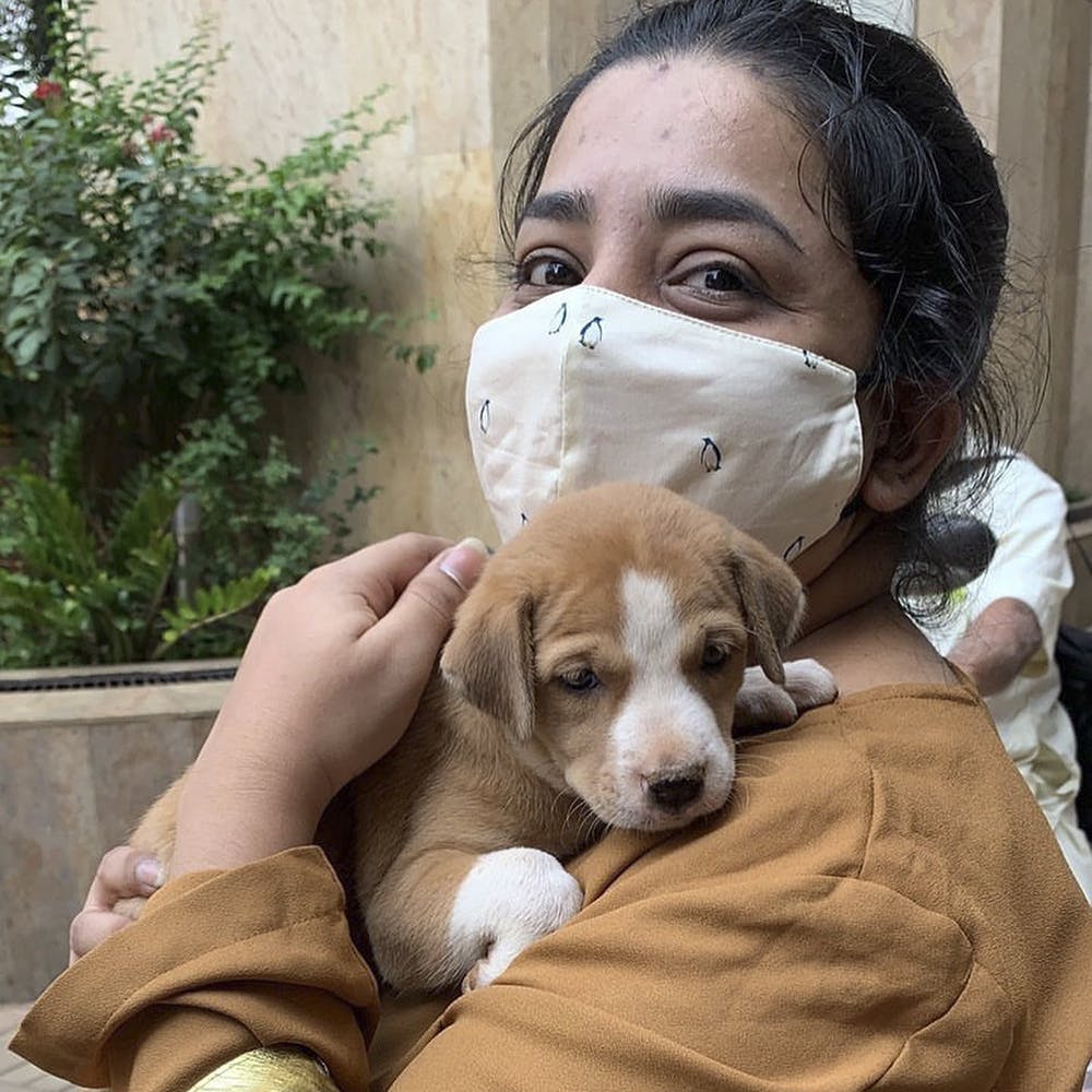 Animal NGOs And Shelters In Mumbai | LBB, Mumbai