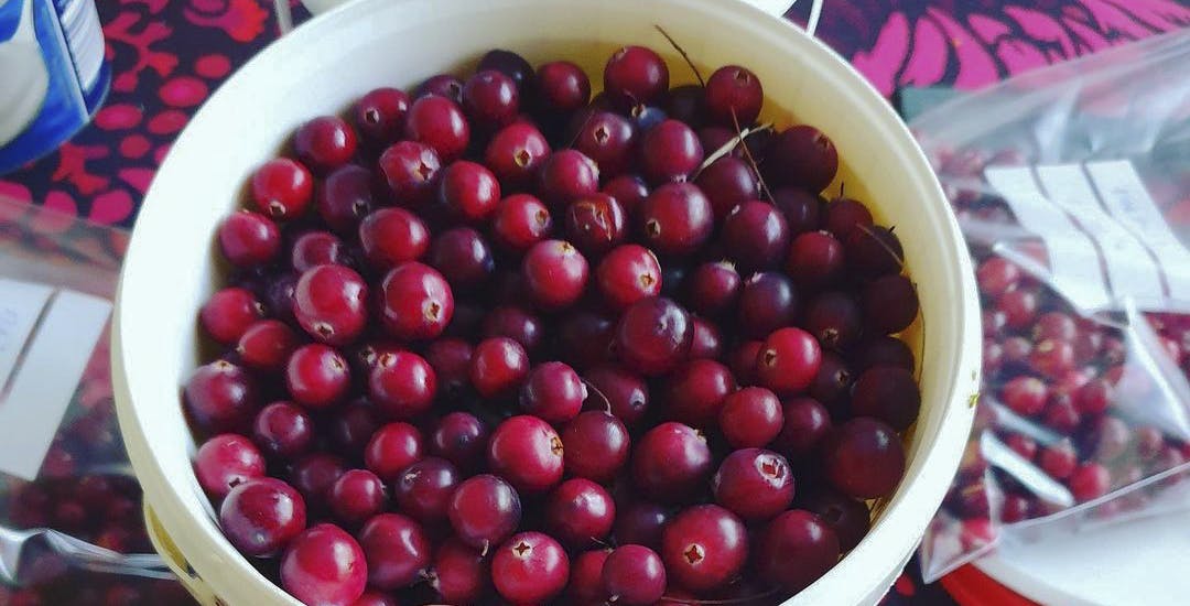 Get Fresh, Exotic Fruits And Veggies From Avocarto LBB