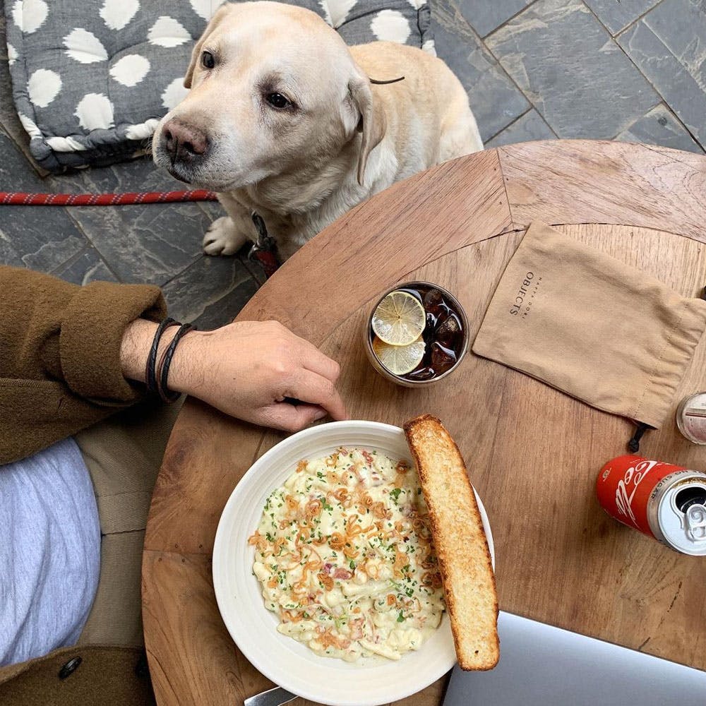 12 DogFriendly Cafes In Delhi & Gurgaon LBB, Delhi