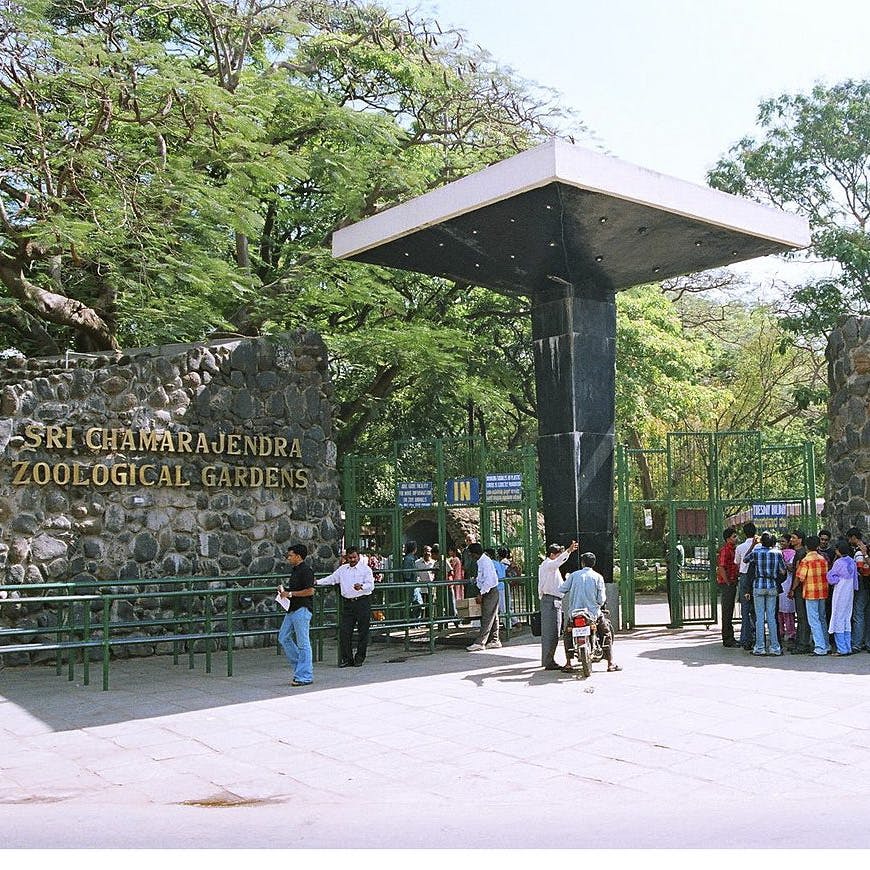 Sri Chamarajendra Zoological Gardens, Mysore LBB