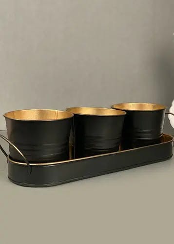 Multipurpose Container Set with Tray