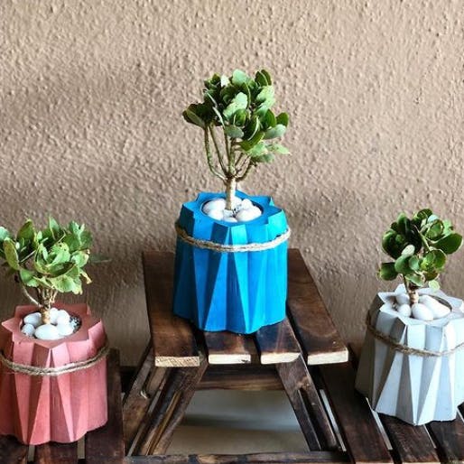 Plant,Flower,Flowerpot,Table,Houseplant,Interior design,Vase,Wood,Electric blue,Rectangle