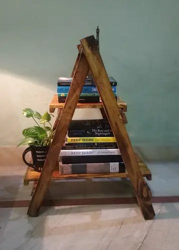 Two Tier Ladder Book Shelf/Planter Shelf