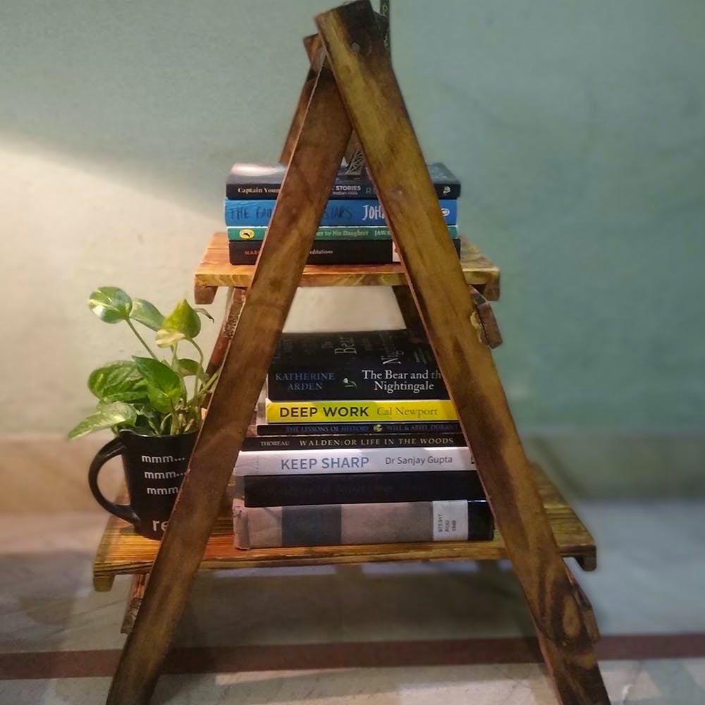 Two Tier Ladder Book Shelf/Planter Shelf