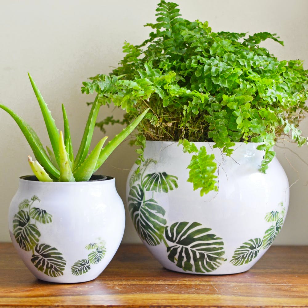 Tropical Vase Planter (Set of 2)