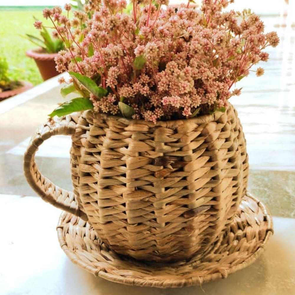 Cup & Saucer Planter