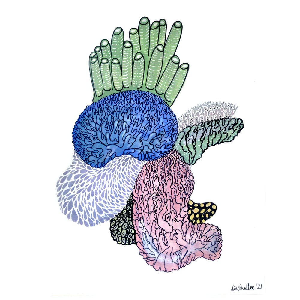 Coral Universe No. 1 Wall Art
