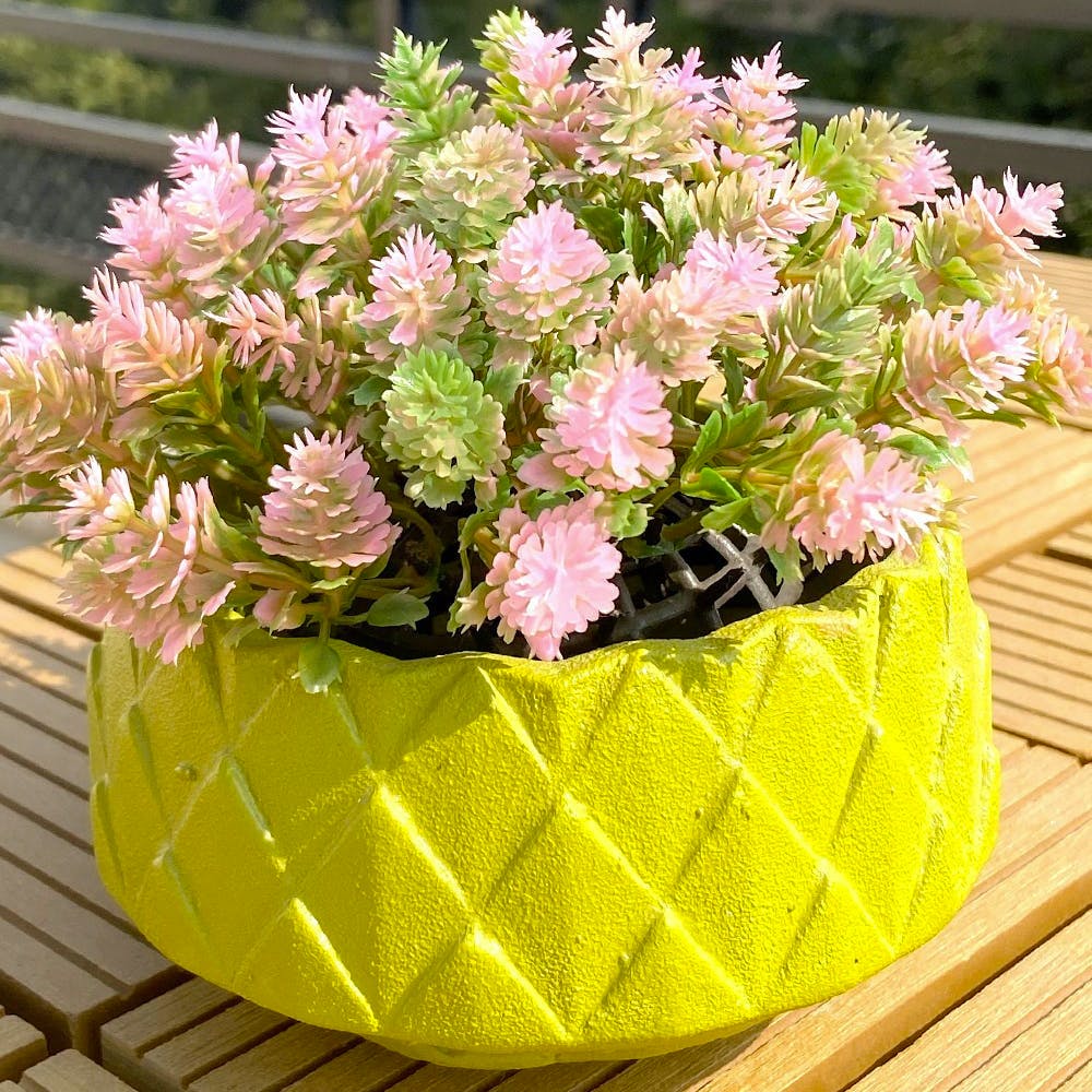 Flower,Petal,Flowerpot,Plant,Table,Pink,Flower Arranging,Grass,Rectangle,Shrub