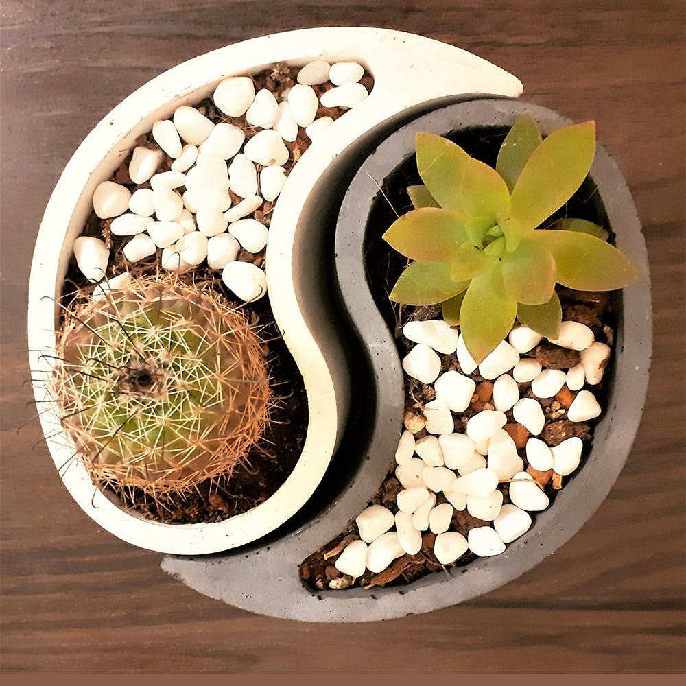 Taijitu (Yin And Yang) Concrete Succulent Planter