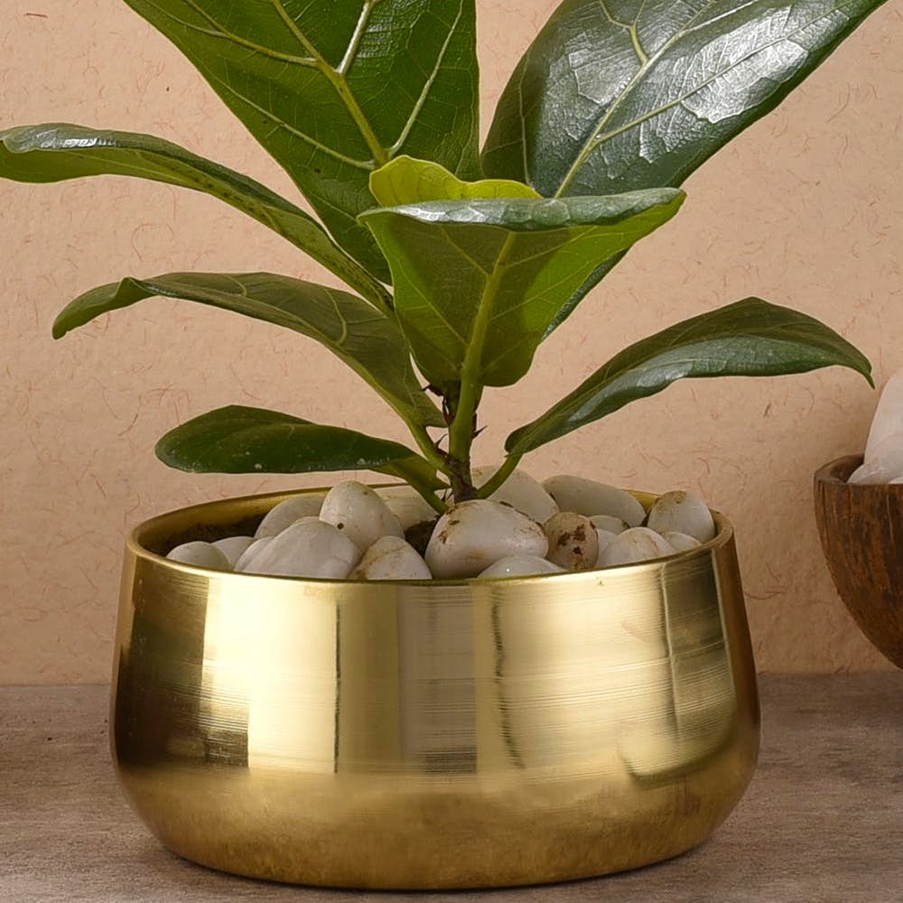 Metal Planter Pot for Indoor Plants & Flowers