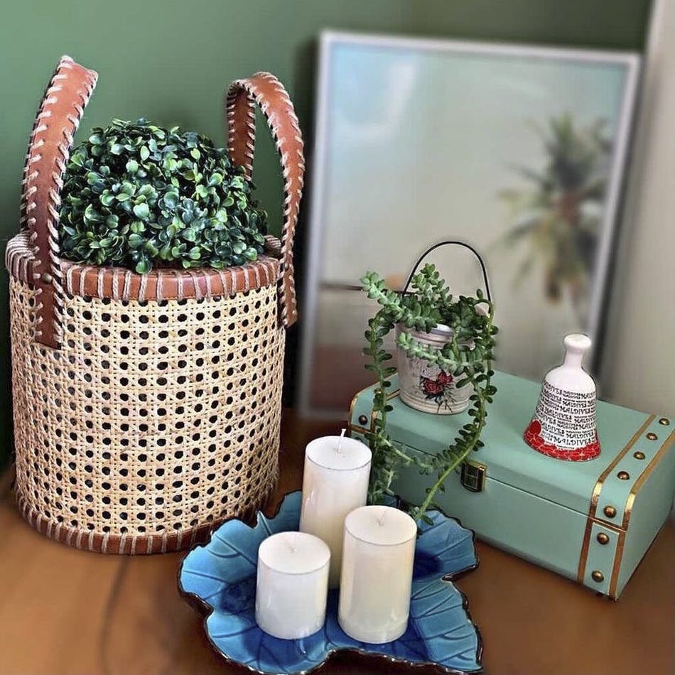 Green,Flowerpot,Plant,Drinkware,Lighting,Houseplant,Tableware,Textile,Interior design,Rectangle