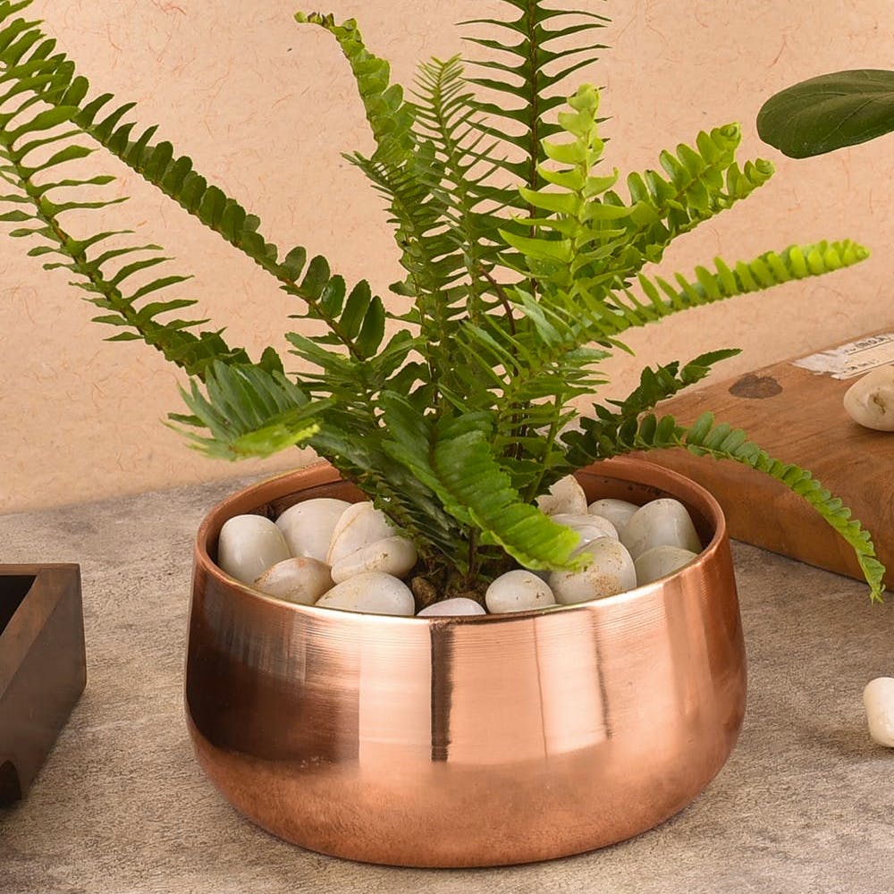 Metal Planter Pot for Indoor Plants & Flowers - Set of 2
