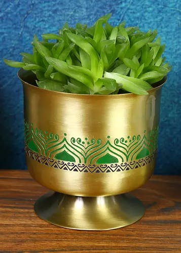 Utsav Indoor Vase Planter (Peacock Green)