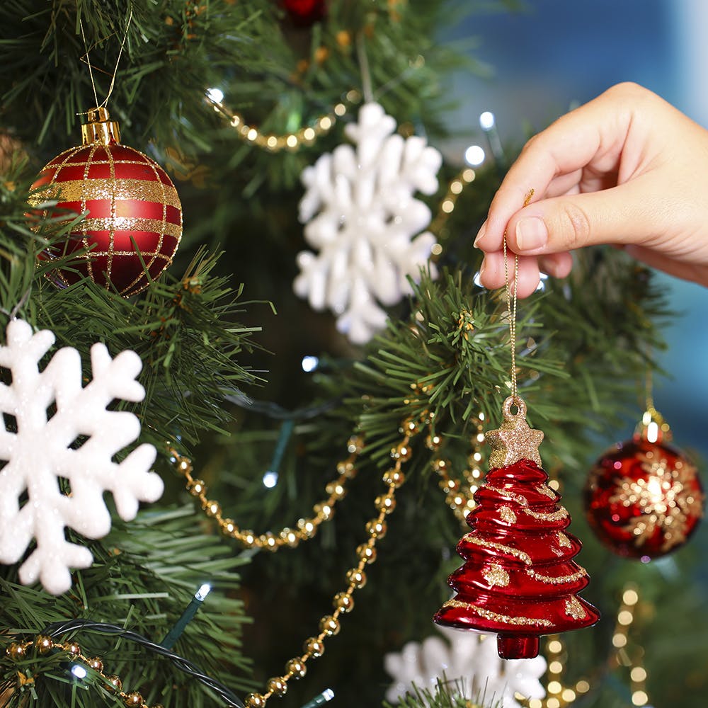 Christmas tree,Christmas ornament,Light,Green,Holiday ornament,Leaf,Branch,Christmas decoration,Ornament,Evergreen