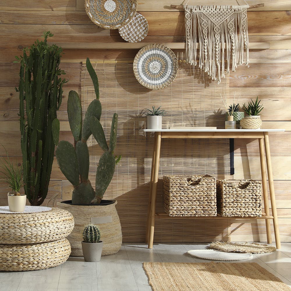 Plant,Property,Shelf,Table,Wood,Flowerpot,Interior design,Rectangle,Terrestrial plant,Drawer
