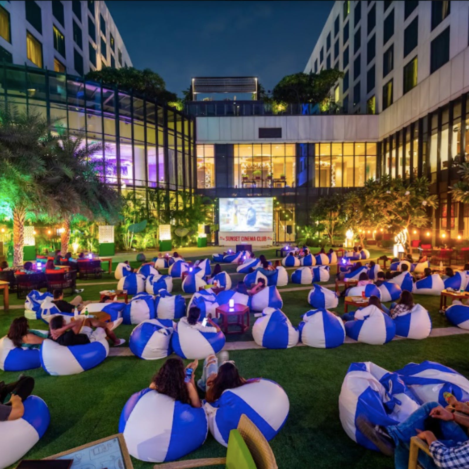 Building,Blue,Plant,Green,Purple,Crowd,Grass,Chair,Leisure,Fun