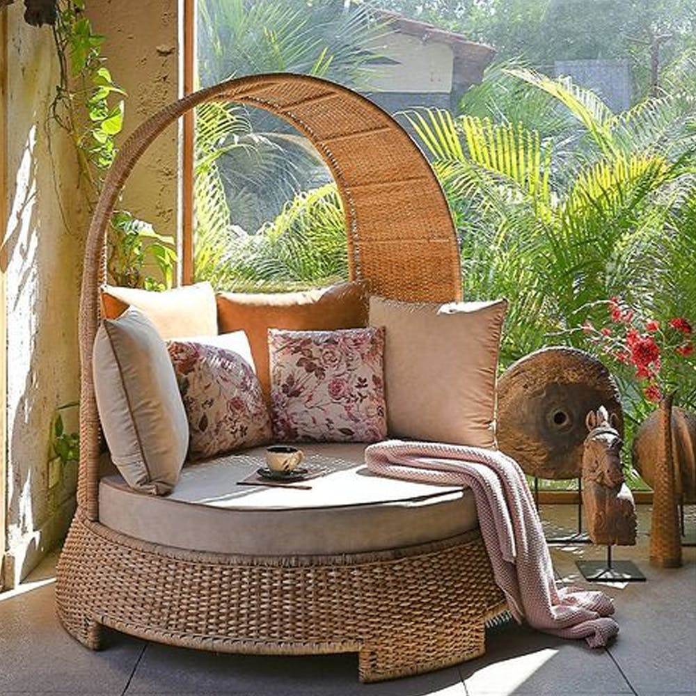 Plant,Property,Furniture,Outdoor furniture,Wood,Comfort,Rectangle,Tree,Chair,Pillow