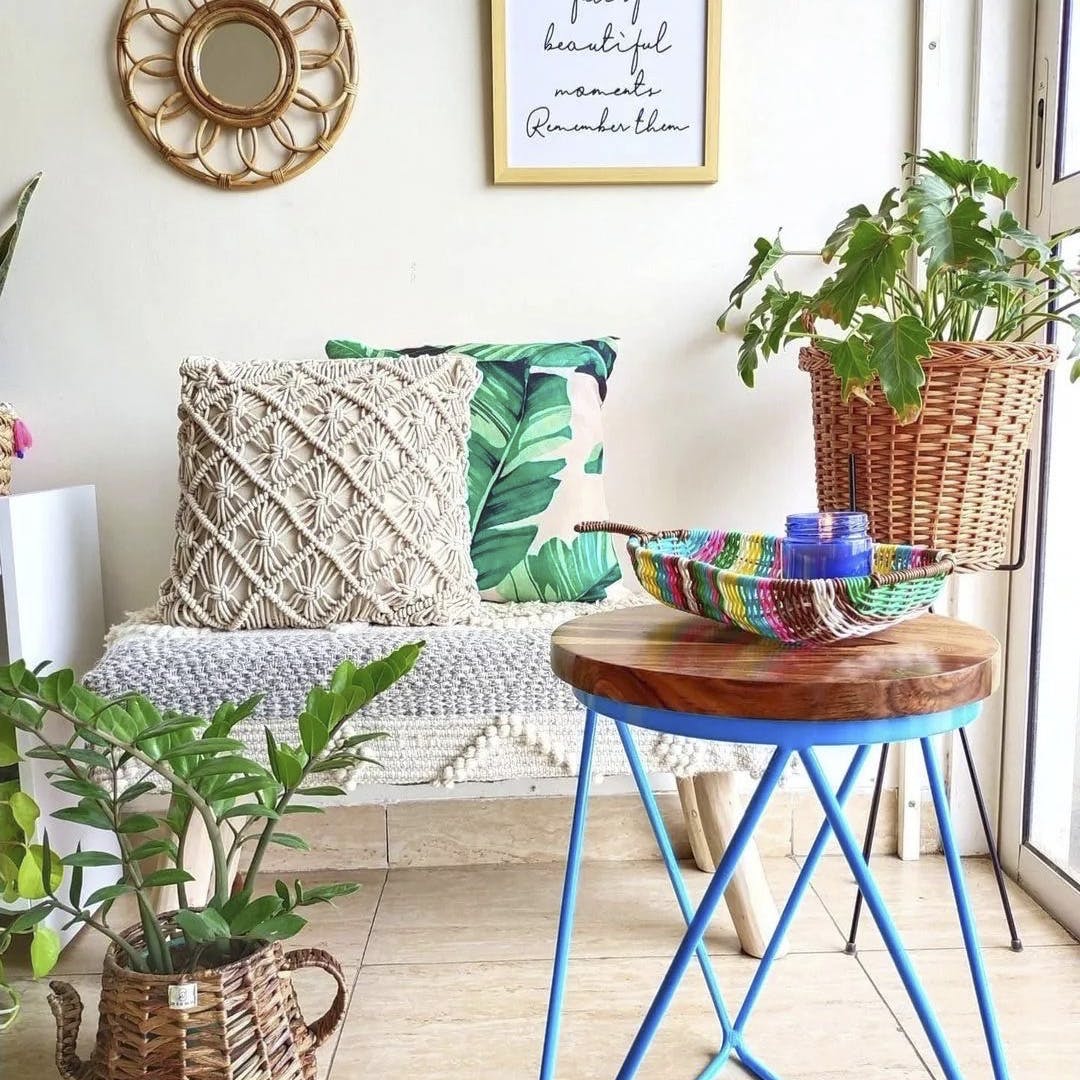 Plant,Furniture,Table,Blue,Green,Azure,Rectangle,Houseplant,Textile,Interior design