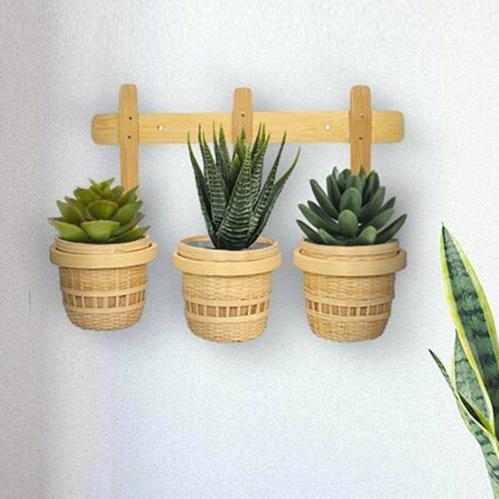 3-in-1 Bamboo Wall Planter